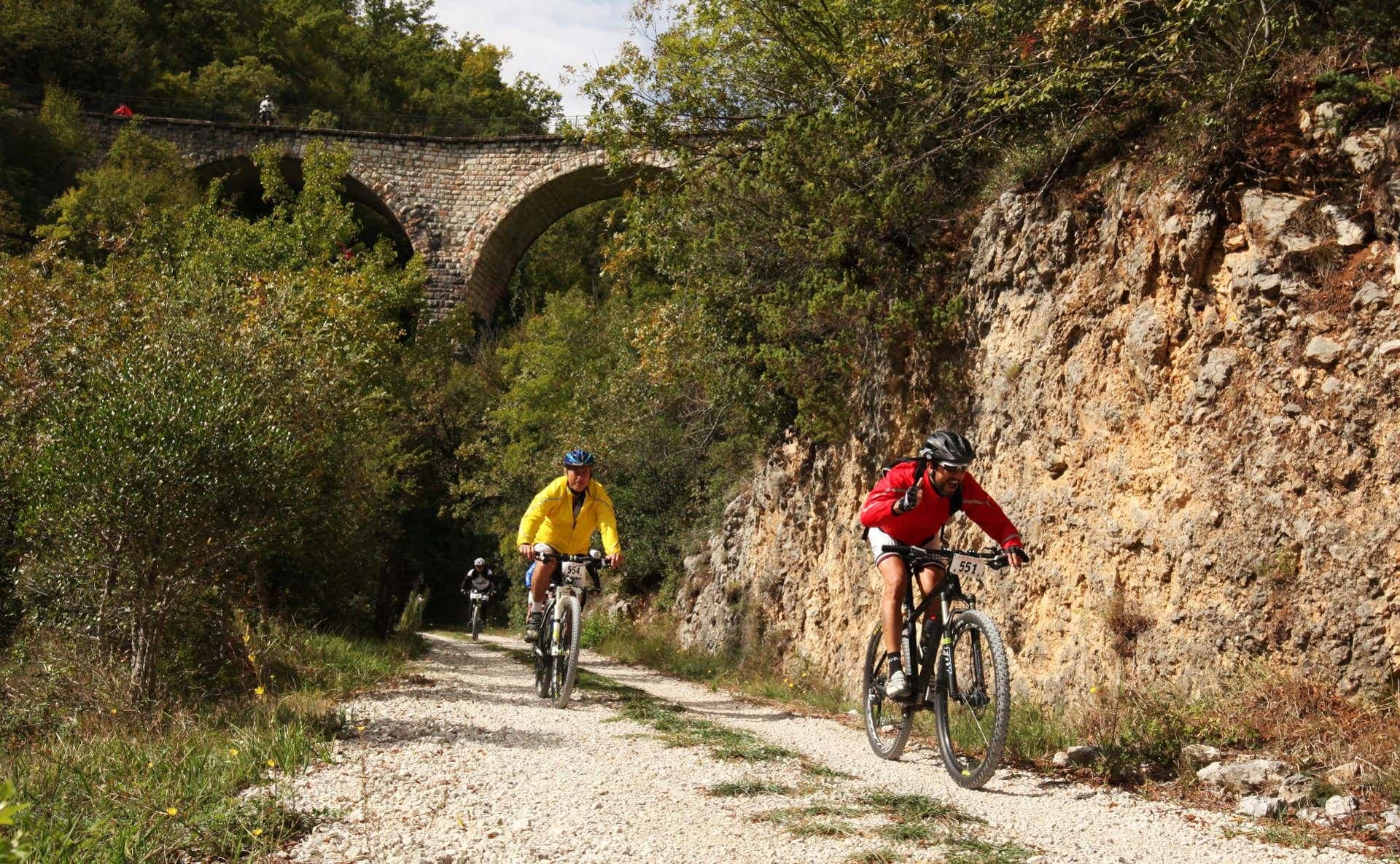 Valle Spoletina cycling route through olive groves near Spoleto